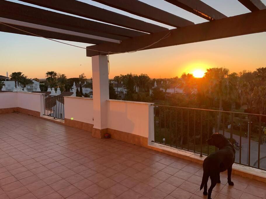 Atico Costa Ballena - Cadiz Rota Eksteriør bilde